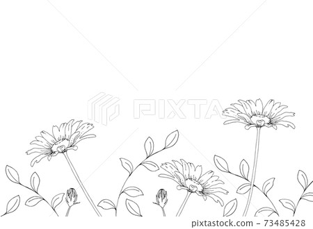 Daisy flower hand-drawn line art illustration 73485428