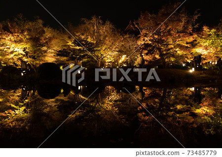 Special night visit: Toji Temple in autumn 73485779