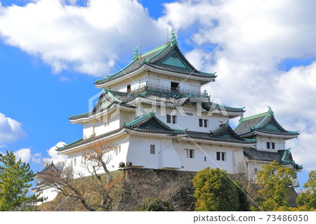 [Wakayama Prefecture] Wakayama Castle in fine weather 73486050