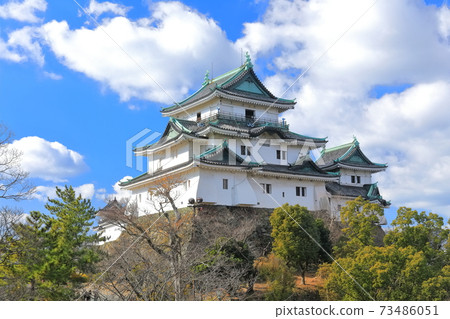 [和歌山縣]和歌山城天氣晴朗 73486051