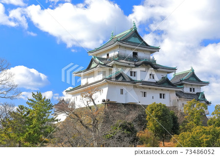 [和歌山縣]和歌山城天氣晴朗 73486052