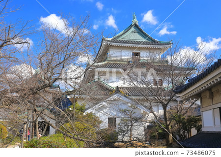 [Wakayama Prefecture] Wakayama Castle under fine weather, large castle tower and small castle tower 73486075