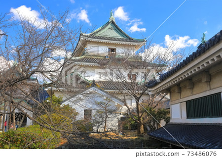 [Wakayama Prefecture] Wakayama Castle under fine weather, large castle tower and small castle tower 73486076