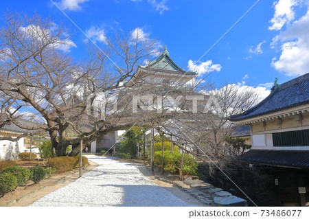 [Wakayama Prefecture] Wakayama Castle under fine weather, large castle tower and small castle tower 73486077