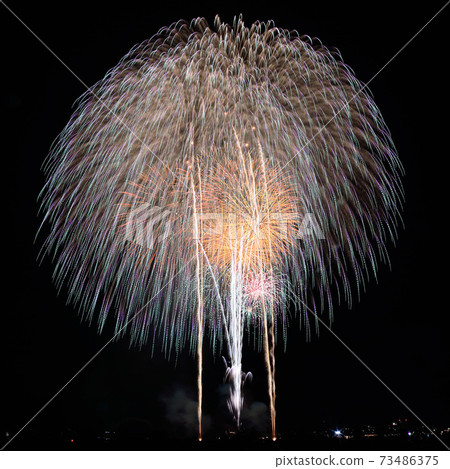 Nagaoka Festival Fireworks Festival "Vesuvius Super Large Star Mine" 73486375