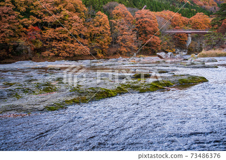 (Gunma Prefecture) Fukiware Falls, upstream, surrounded by autumn leaves 73486376