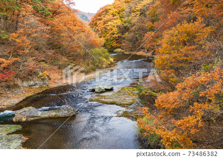 （群馬縣）富士沃里瀑布，上游，被紅葉包圍 73486382