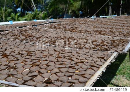 Keropok ikan is Fish crackers are deep fried crackers made from fish and spices that serve as flavouring 73486459