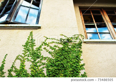 Upstairs window looking up Upstairs window looking up 73486505