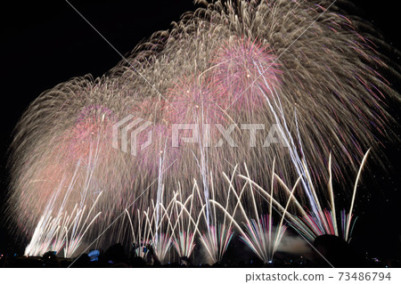 Nagaoka Festival Fireworks Festival "Reconstruction Prayer Fireworks Phoenix" 73486794