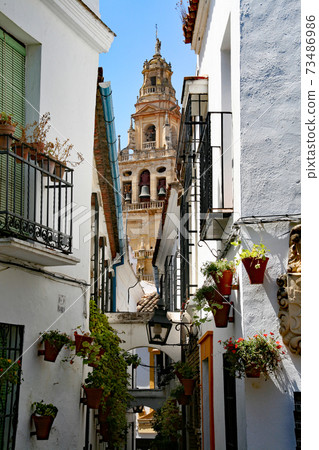 Small diameter of flowers Cordoba Small diameter of flowers Cordoba 73486986