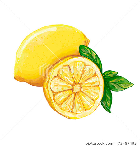 Lemon.Yellow lemon and a slice of lemon Lemon.Yellow lemon and a slice of lemon 73487492