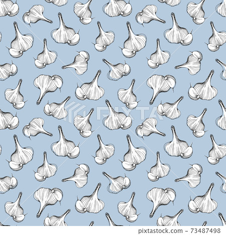 Garlic pattern. Hand drawn vector illustration Garlic pattern. Hand drawn vector illustration 73487498