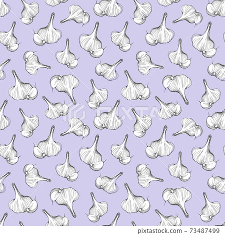 Hand-drawn seamless pattern of garlic on a lilac background.vector illustration Hand-drawn seamless pattern of garlic on a lilac background.vector illustration 73487499