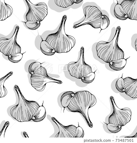 seamless pattern of garlic on a white background 73487501