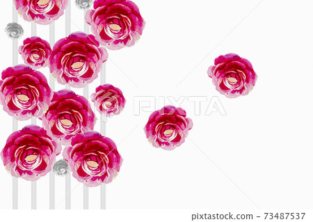 Painting pink color flower of roses. Painting pink color flower of roses. 73487537