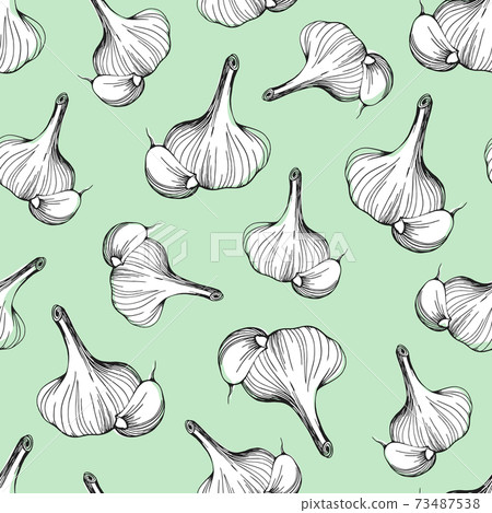 pattern of garlic on a soft green background pattern of garlic on a soft green background 73487538