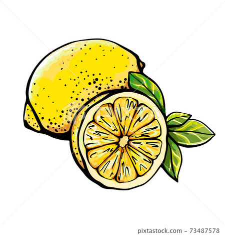 Lemon isolated on a white background Lemon isolated on a white background 73487578