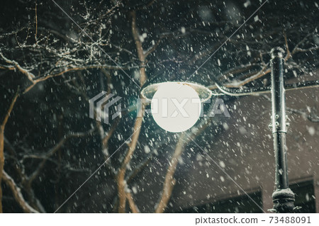 Snowy winter Snowy winter 73488091