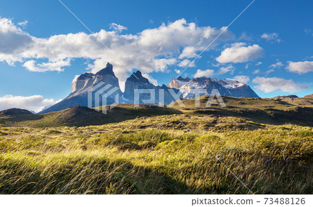 Torres Torres 73488126