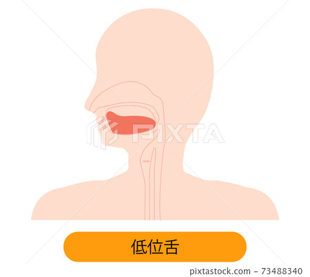 低舌的插圖 73488340