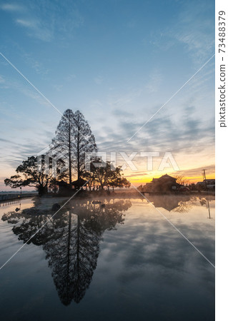 Seinoike (dawn) Seinoike (dawn) 73488379