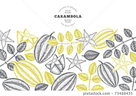 Hand drawn sketch style carambola banner. Organic fresh fruit vector illustration. Retro fruit design template 73488435