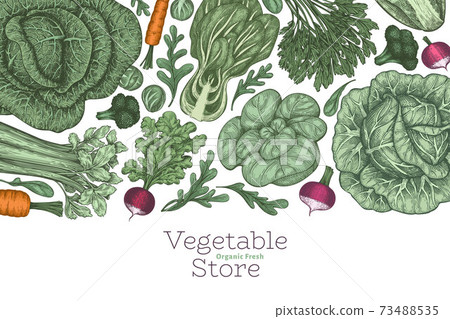 Hand drawn vintage color vegetables design. Organic fresh food vector banner template. Retro vegetable background. Traditional botanical illustrations. 73488535