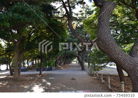 Odaiba Beach Park 73489310