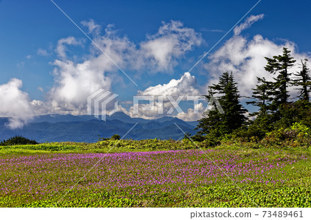 View of Hakusankozakura community and Mt. Nikko-Shirane on the ridge of Mt. Aizu Komagatake 73489461