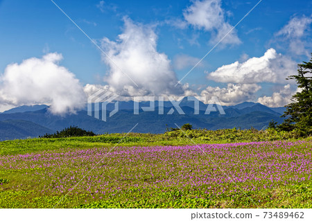 View of Hakusankozakura community and Mt. Nikko-Shirane on the ridge of Mt. Aizu Komagatake 73489462