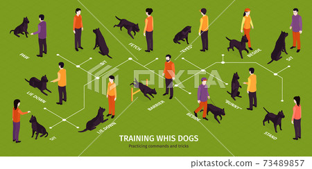 Training Dogs Isometric Infographics 73489857