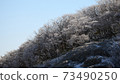 Mt. Gozaisho: Rime and blue sky 73490250