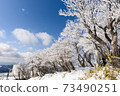 Mt. Gozaisho: Rime and blue sky 73490251
