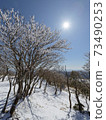 Mt. Gozaisho: Rime and blue sky 73490253