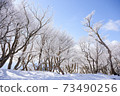 Mt. Gozaisho: Rime and blue sky 73490256