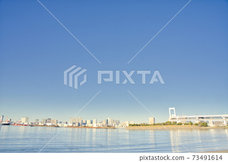 [東京] 1月，晴天台場海神公園 73491614