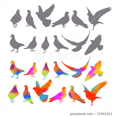 Bird watercolor. Set Colorful pigeons. T-shirt print. Vector illustration Bird watercolor. Set Colorful pigeons. T-shirt print. Vector illustration 73491925
