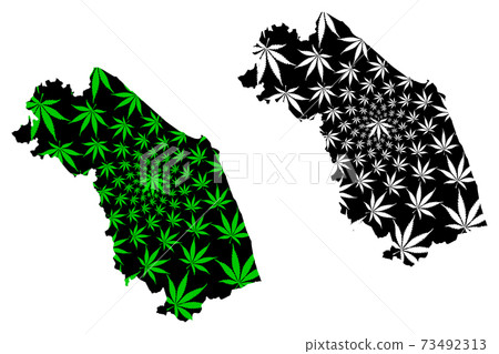 Marche (Autonomous region of Italy, Italian Republic) map is designed cannabis leaf green and black, Marches map made of marijuana (marihuana,THC) foliage,.. 73492313