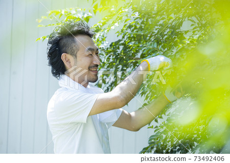 Pruning garden trees Pruning garden trees 73492406