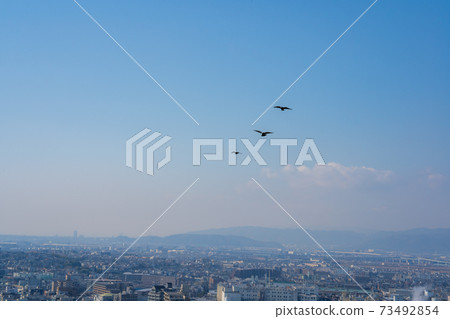 Cityscape Cityscape 73492854
