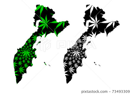 Kamchatka Krai (Russia, Subjects of the Russian Federation, Krais of Russia) map is designed cannabis leaf green and black, Kamchatka Krai map made of marijuana (marihuana,THC) foliage,.. Kamchatka Krai (Russia, Subjects of the Russian Federation, Krais of Russia) map is designed cannabis leaf green and black, Kamchatka Krai map made of marijuana (marihuana,THC) foliage,.. 73493309