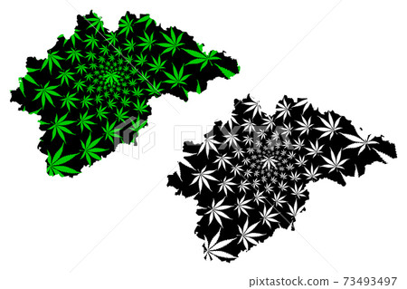 Novgorod Oblast (Russia, Subjects of the Russian Federation, Oblasts of Russia) map is designed cannabis leaf green and black, Novgorod Oblast map made of marijuana (marihuana,THC) foliage.... 73493497
