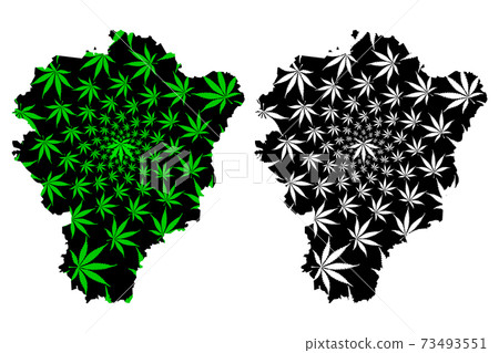 Yaroslavl Oblast (Russia, Subjects of the Russian Federation, Oblasts of Russia) map is designed cannabis leaf green and black, Yaroslavl Oblast map made of marijuana (marihuana,THC) foliage,.... 73493551