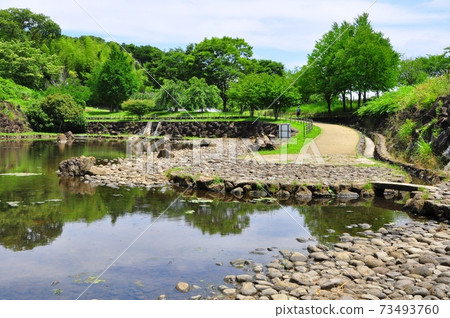 Chigasaki City, Kanagawa Prefecture Chigasaki Satoyama Park Nakanotani Pond and Fresh Green Chigasaki City, Kanagawa Prefecture Chigasaki Satoyama Park Nakanotani Pond and Fresh Green 73493760