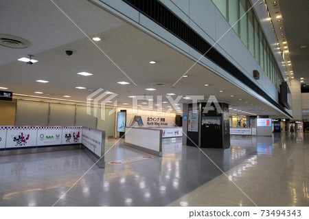 International arrival gate in Narita Airport terminal of Corona 73494343