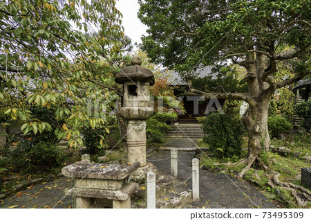 Ruins of Gangoji Temple, Nara City, Nara Prefecture Ruins of Gangoji Temple, Nara City, Nara Prefecture 73495309