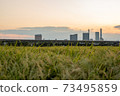 Contrast between skyscrapers and the countryside 73495859