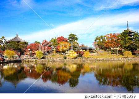 秋葉，興福寺五層塔，猿澤池和藍天 73496359