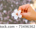 她手裡拿著櫻花花瓣的女孩 73496362